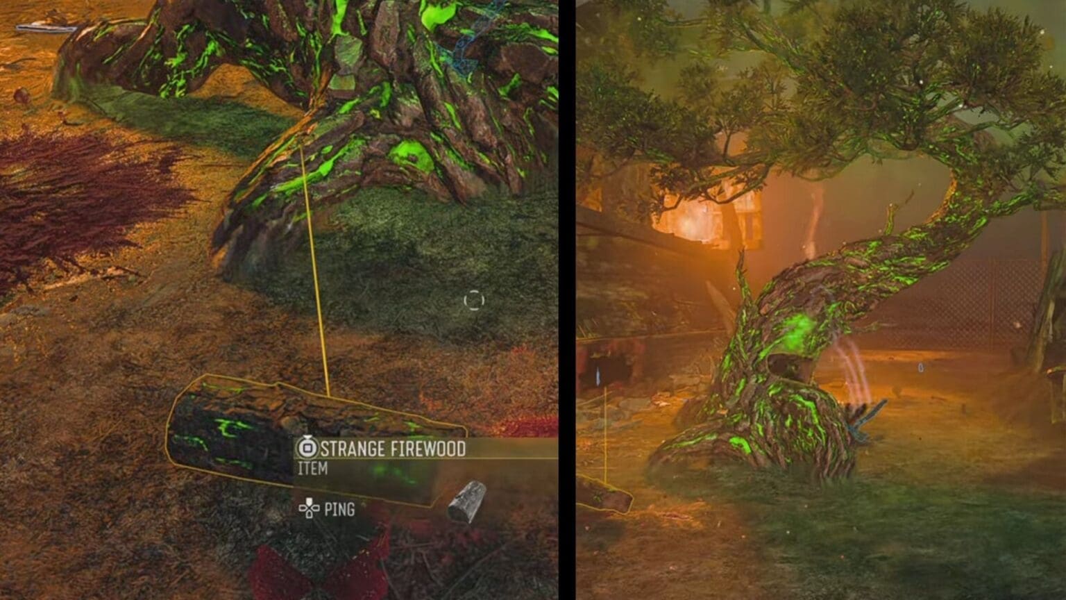 BO7 Paradox Junction – How to Get and Use the Irradiated Seeds