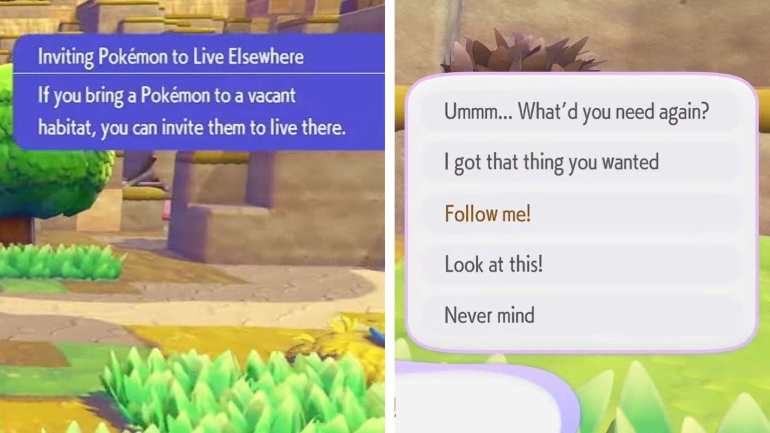 Pokopia – How to Move Pokémon to Different Habitats